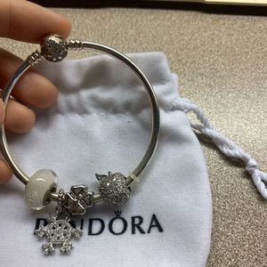 Pandora bracelet